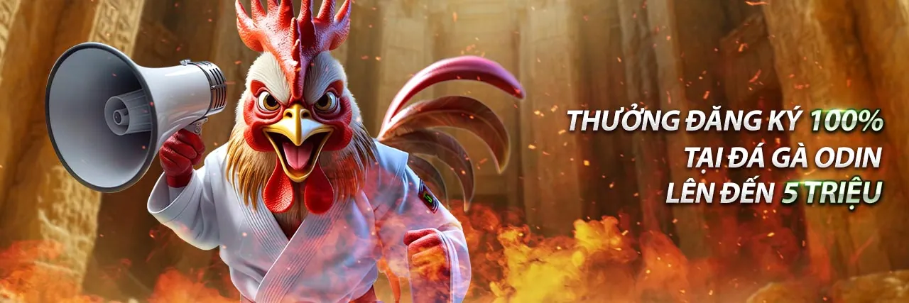 Hình ảnh Điều khoản dịch vụ win55 co